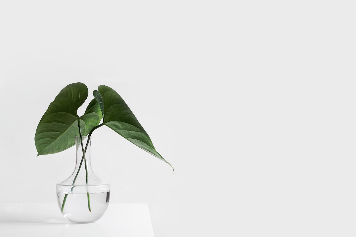 2 minimalist lifestyle
